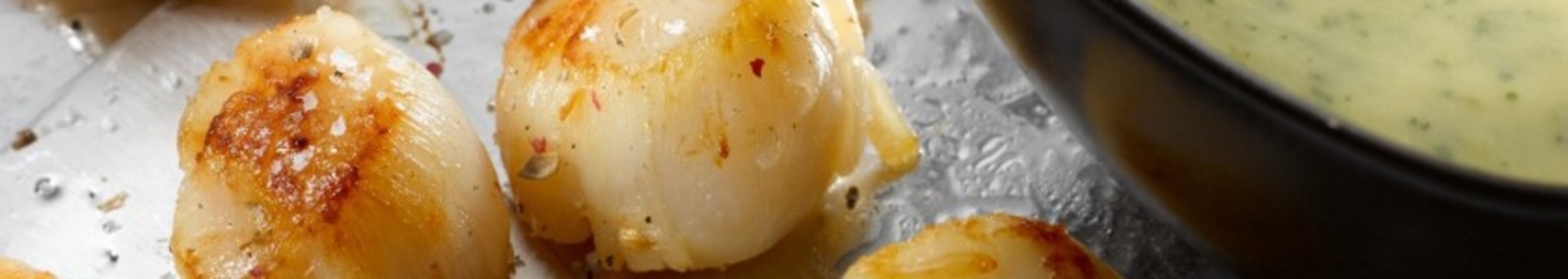 Noix De Saint Jacques Sauce Hollandaise Haviorig Gedelec