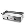 GECIF2 - SAVEUR - groot model elektrisch