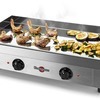 GECIF2 - SAVEUR - groot model elektrisch