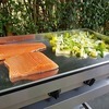 GECIF2 - SAVEUR - groot model elektrisch