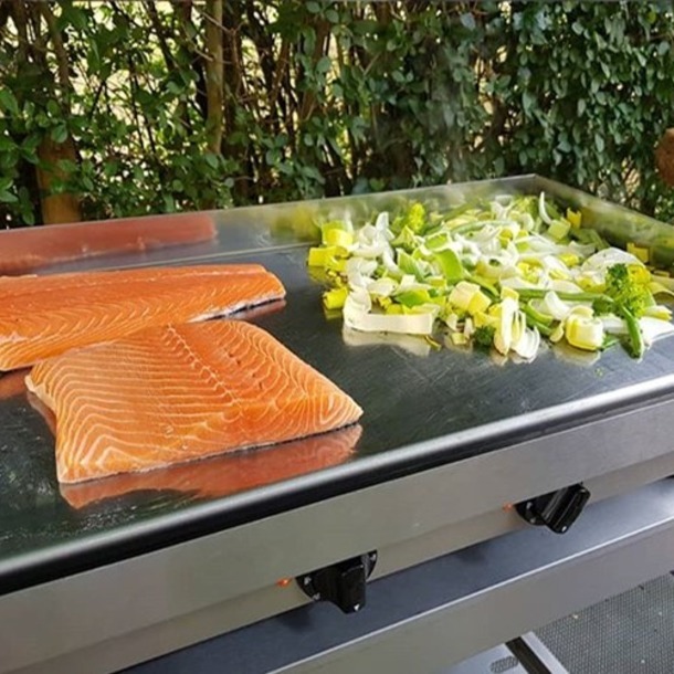 GECIF2 - SAVEUR - groot model elektrisch