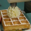 WECAAA - Enkel wafelijzer - 3x5 Brusselse